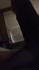 029西安酒店人妻女上位磨豆腐